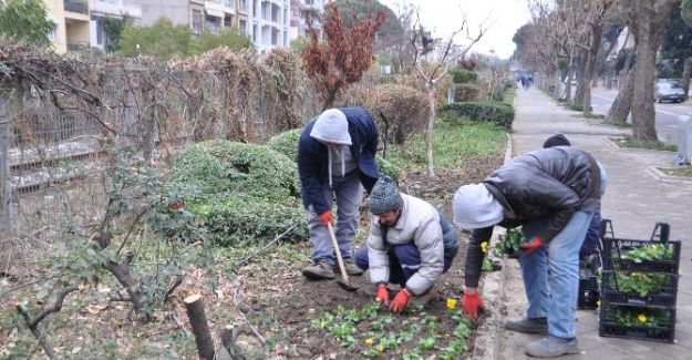 Salihli’de parklar kışa hazır