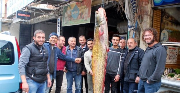 Manisa’da 80 kiloluk dev yayın balığı yakalandı