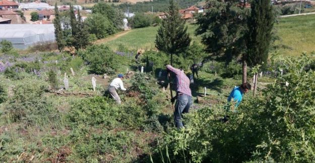 Köprübaşı’nda mezarlıklar temizleniyor