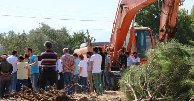 Çam ağaçlarının kepçelerle sökülmesine köylüler tepki gösterdi