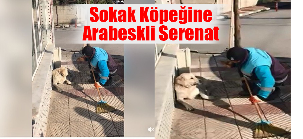 Sokak Köpeğine Arabeskli Serenat