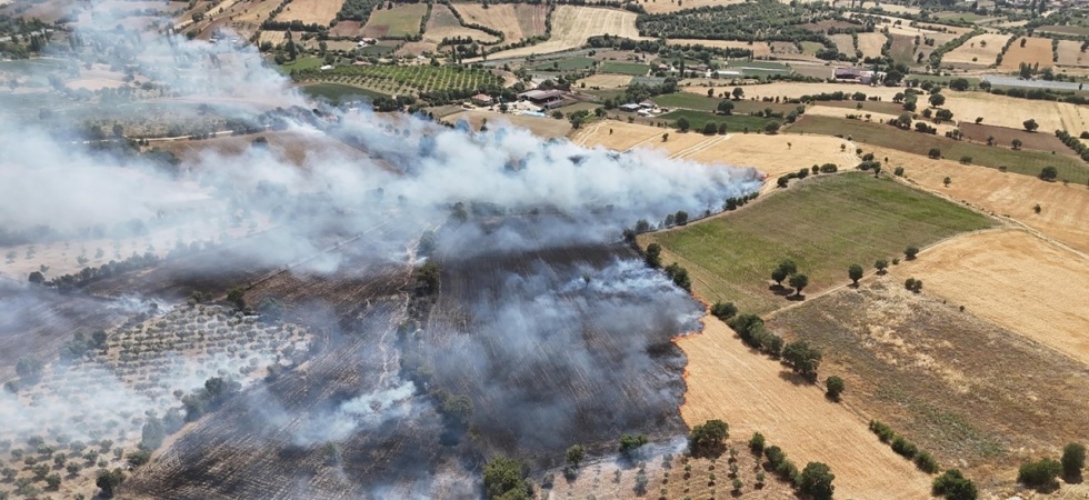 Manisa’da ekin tarlasında yangın: 35 dönüm kül oldu