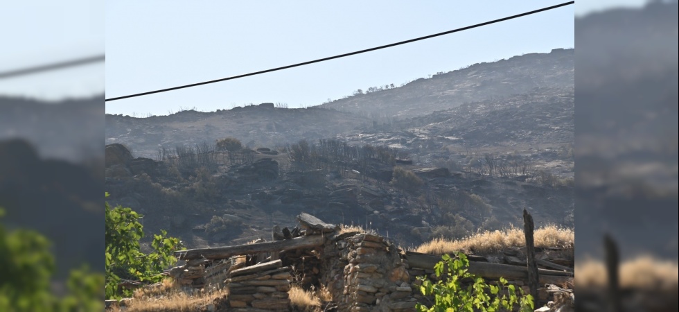 Manisa’daki yangınlar geçen seneye göre 2 kat arttı