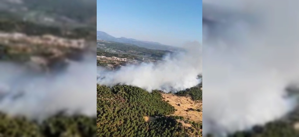 Manisa’da orman yangını