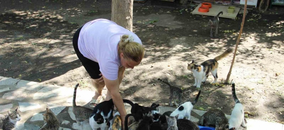 Bir sesine onlarca kedi koşuyor