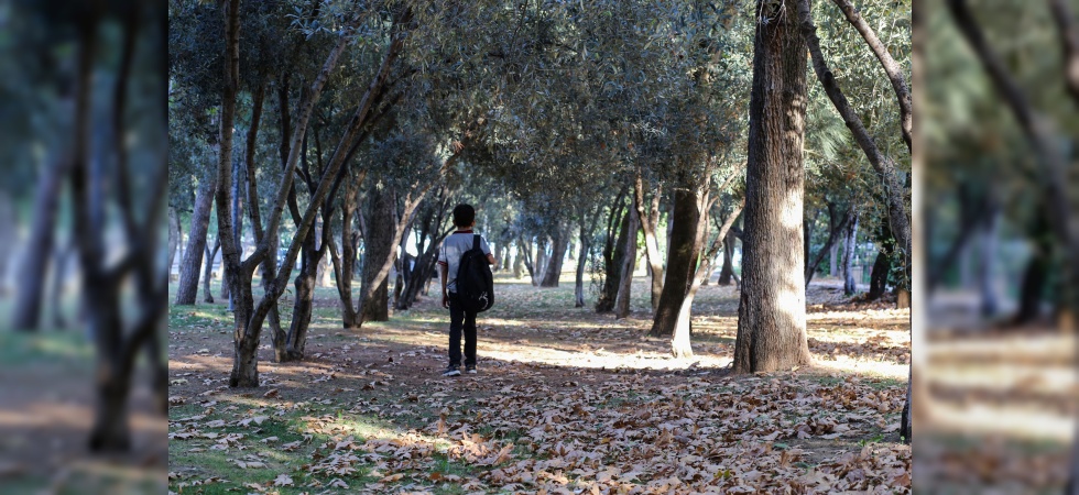 Manisa’ya sonbahar güzelliği geldi