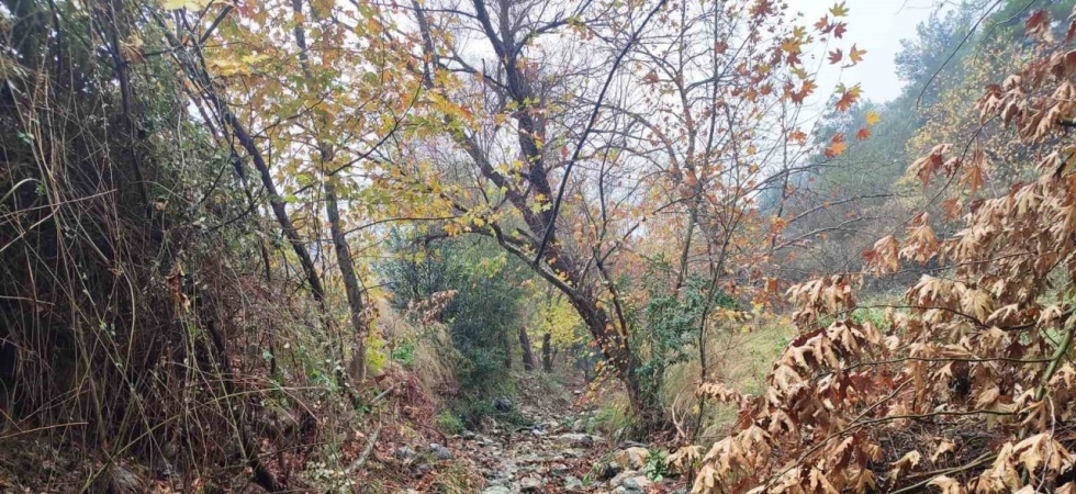 Mesir Tabiat Parkında eşsiz manzaralar