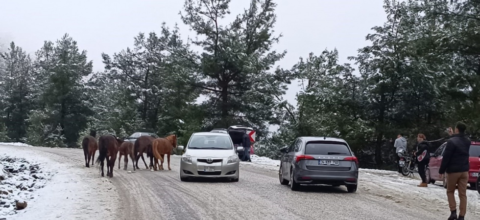 Spil Dağı Milli Parkı beyaza büründü