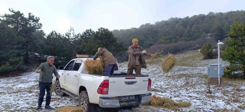 Spil’de yaban hayatı unutulmadı