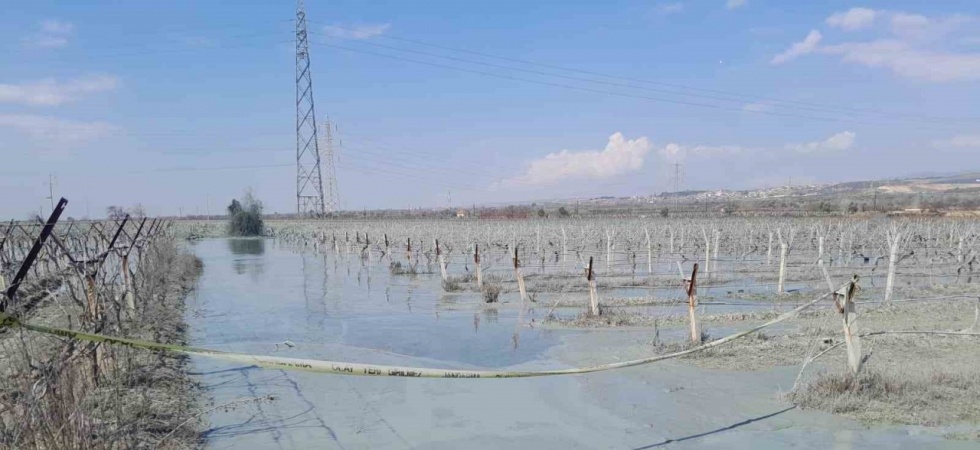 Alaşehir’de üzüm bağı içinde korkutan patlama