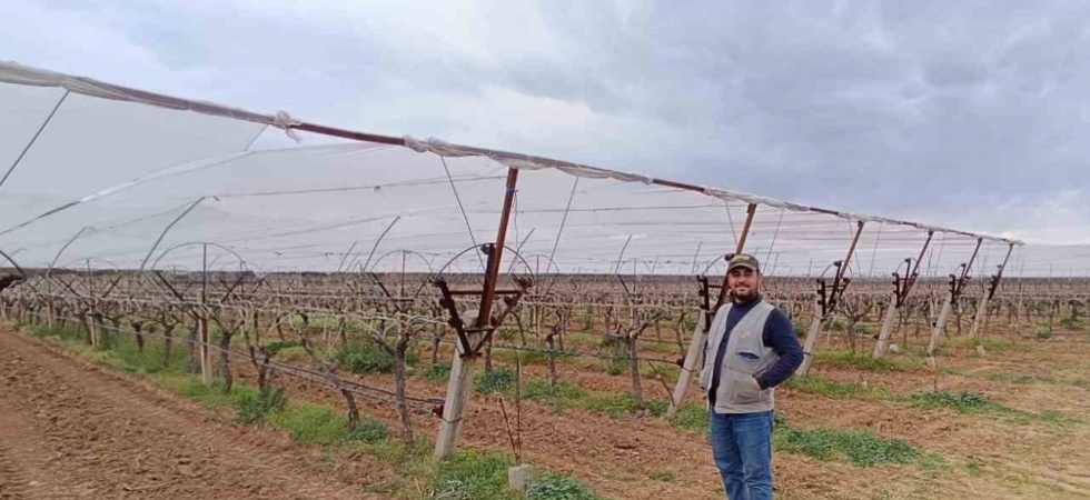 Manisalı çiftçiler don ve dolu riskine karşı tedbir almaya başladı