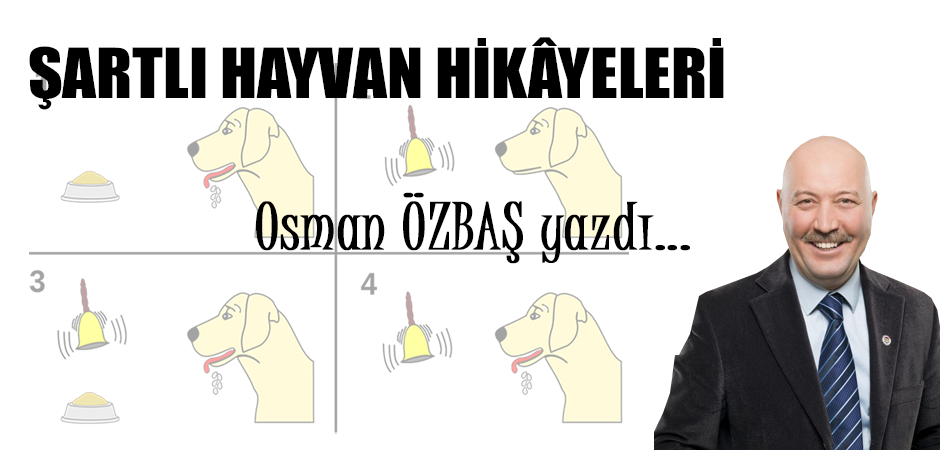 ŞARTLI HAYVAN HİKÂYELERİ