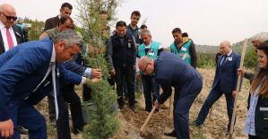 Hükümlüler 15 Temmuz anısına fidan dikti