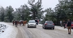 Spil Dağı Milli Parkı beyaza büründü