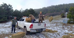 Spil’de yaban hayatı unutulmadı